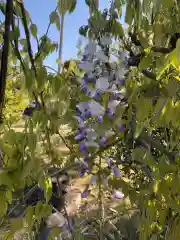 大生郷天満宮の自然