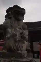 鎮守氷川神社の狛犬