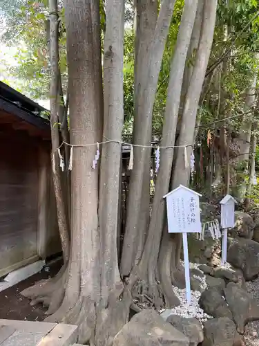 検見川神社の自然