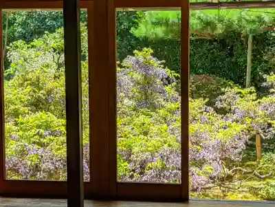 長慶院(京都府)