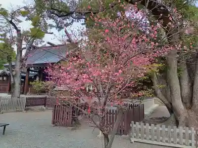 和泉國一之宮　大鳥大社(大阪府)