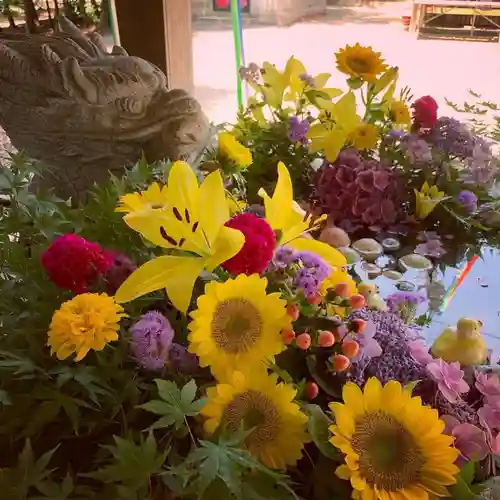 滑川神社 - 仕事と子どもの守り神の手水舎