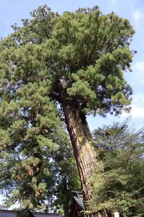 香取神宮(千葉県)