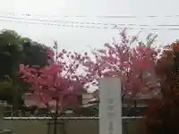 光明寺のその他建物