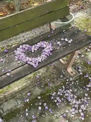賀茂神社の{uncategorized: "未分類", other: "その他", undefined: "問題あり", building: "その他建物", grave: "お墓", sacred_gate: "鳥居", guardian: "狛犬", statue: "像", buddha: "仏像", history: "歴史", nature: "自然", garden: "庭園", animal: "動物", pagoda: "塔", temizu: "手水舎", mountain_gate: "山門・神門", sanctuary: "本殿・本堂", subordinate: "末社・摂社", art: "芸術", scenery: "景色", jizo: "地蔵", ema: "絵馬", goshuin: "御朱印", omikuji: "おみくじ", items: "授与品その他", amulet: "お守り", goshuincho: "御朱印帳", eats: "食事", festival: "お祭り", votive_dance: "神楽", shichigosan: "七五三参", wedding: "結婚式", experience: "体験その他", initially: "初詣", around: "周辺", anti_infection: "感染症対策"}