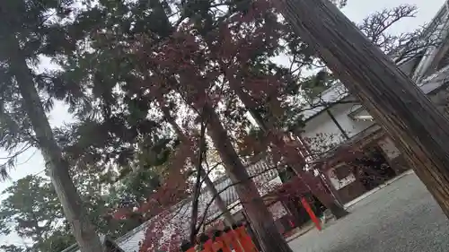 吉田神社(京都府)