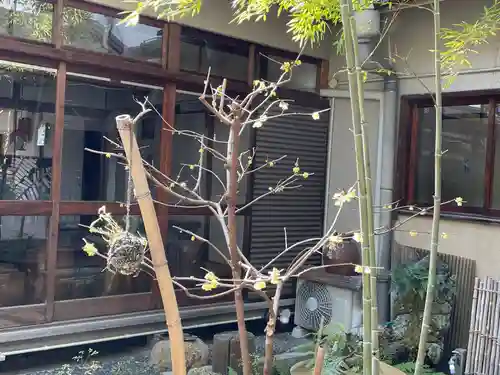 遠照山 光明寺（尼崎大仏）(兵庫県)