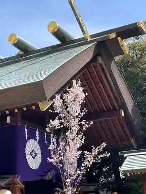 東京大神宮(東京都)