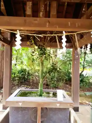 赤坂氷川神社(東京都)