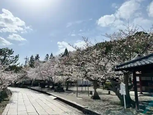 御池坊（粉河寺本坊）(和歌山県)