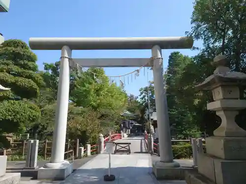 松戸神社の鳥居