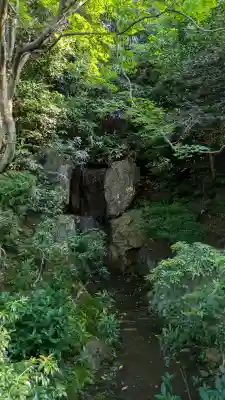 法金剛院(京都府)