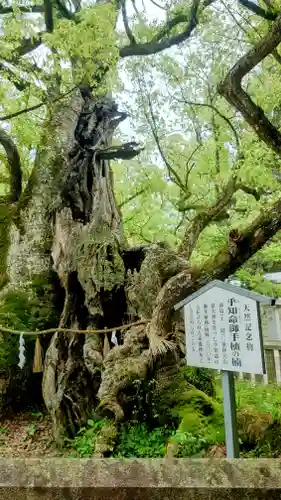 大山祇神社(愛媛県)