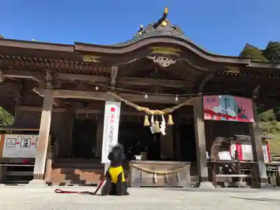 都農神社の本殿・本堂