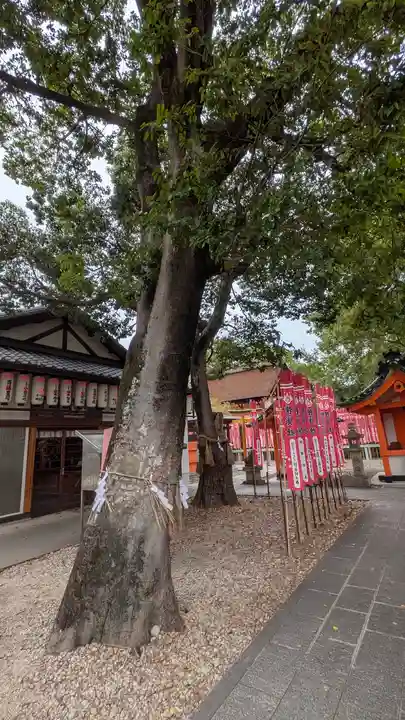 種貸社(住吉大社末社)(大阪府)