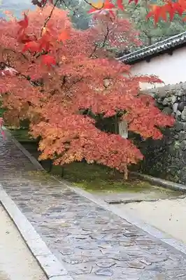 酬恩庵一休寺(京都府)
