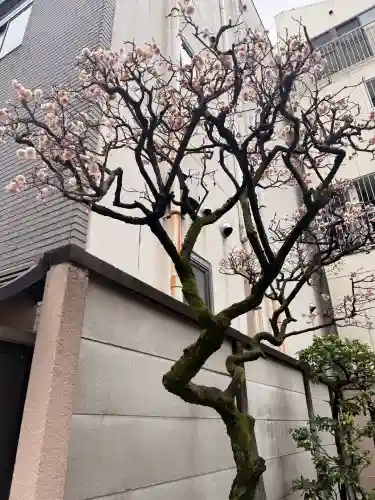 神楽坂安養寺の{uncategorized: "未分類", other: "その他", undefined: "問題あり", building: "その他建物", grave: "お墓", sacred_gate: "鳥居", guardian: "狛犬", statue: "像", buddha: "仏像", history: "歴史", nature: "自然", garden: "庭園", animal: "動物", pagoda: "塔", temizu: "手水舎", mountain_gate: "山門・神門", sanctuary: "本殿・本堂", subordinate: "末社・摂社", art: "芸術", scenery: "景色", jizo: "地蔵", ema: "絵馬", goshuin: "御朱印", omikuji: "おみくじ", items: "授与品その他", amulet: "お守り", goshuincho: "御朱印帳", eats: "食事", festival: "お祭り", votive_dance: "神楽", shichigosan: "七五三参", wedding: "結婚式", experience: "体験その他", initially: "初詣", around: "周辺", anti_infection: "感染症対策"}