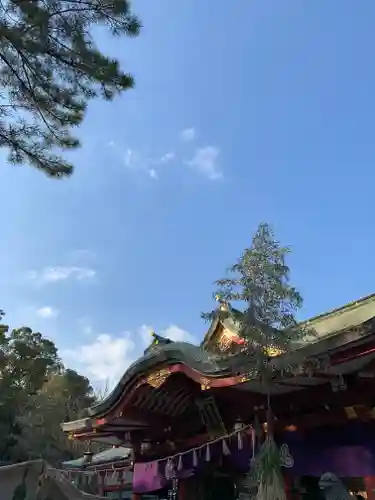 西宮神社の本殿・本堂