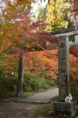 国宝　長寿寺(滋賀県)