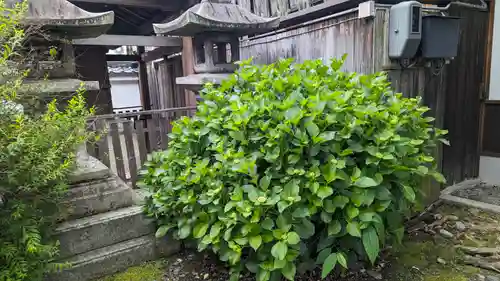 下御霊神社(京都府)