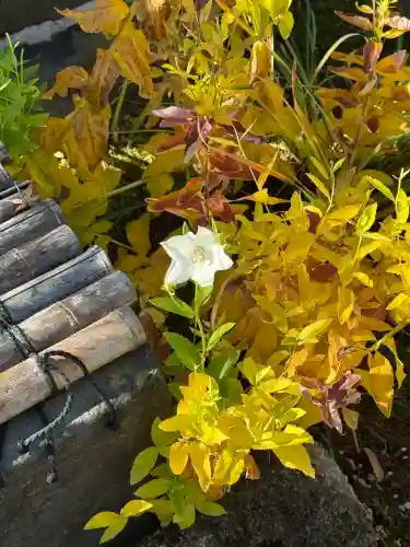 遍照寺の{uncategorized: "未分類", other: "その他", undefined: "問題あり", building: "その他建物", grave: "お墓", sacred_gate: "鳥居", guardian: "狛犬", statue: "像", buddha: "仏像", history: "歴史", nature: "自然", garden: "庭園", animal: "動物", pagoda: "塔", temizu: "手水舎", mountain_gate: "山門・神門", sanctuary: "本殿・本堂", subordinate: "末社・摂社", art: "芸術", scenery: "景色", jizo: "地蔵", ema: "絵馬", goshuin: "御朱印", omikuji: "おみくじ", items: "授与品その他", amulet: "お守り", goshuincho: "御朱印帳", eats: "食事", festival: "お祭り", votive_dance: "神楽", shichigosan: "七五三参", wedding: "結婚式", experience: "体験その他", initially: "初詣", around: "周辺", anti_infection: "感染症対策"}