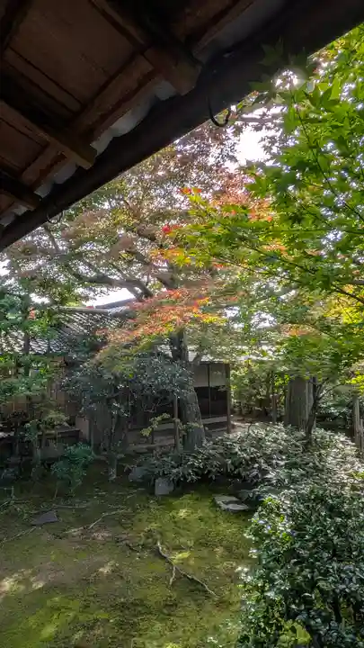 大法院(京都府)