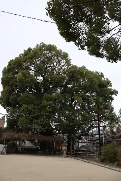 山王神社の自然