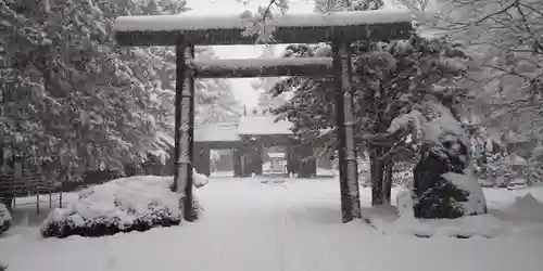 琴似神社の鳥居