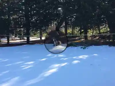 砂川神社(北海道)
