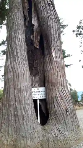 毛越寺(岩手県)