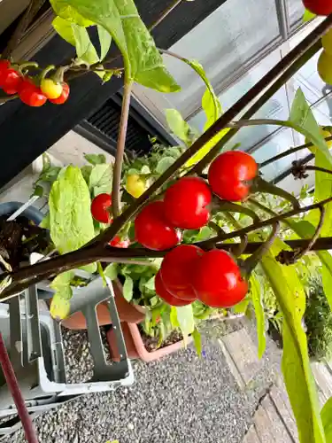 豊景神社(福島県)