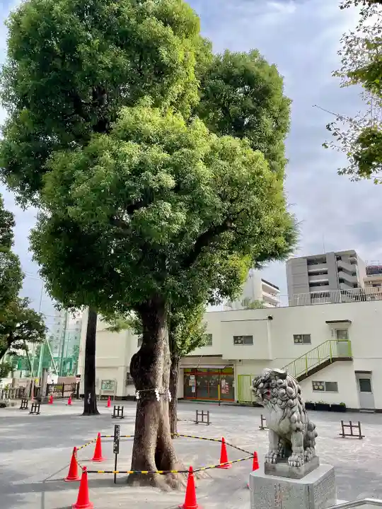 お三の宮日枝神社(神奈川県)
