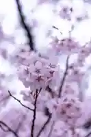 新城藤原神社(長野県)