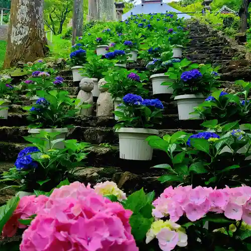 普門寺(切り絵御朱印発祥の寺)(愛知県)