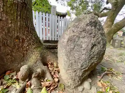東寺（教王護国寺）(京都府)