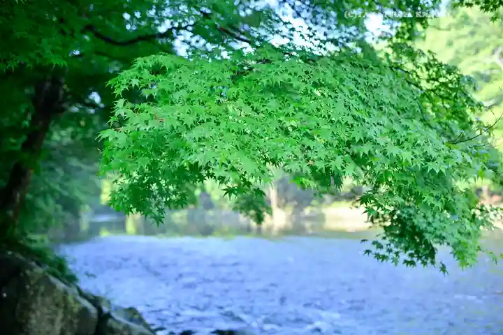 伊勢神宮内宮(皇大神宮)(三重県)