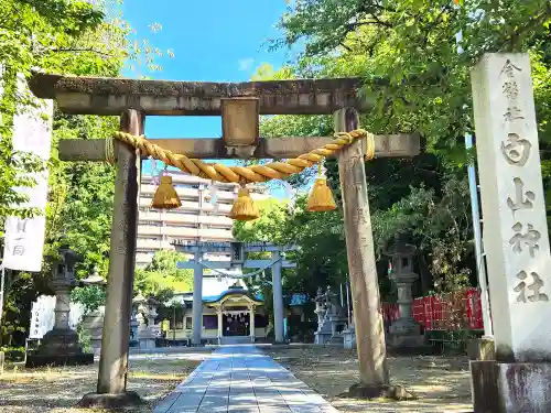 白山神社の鳥居