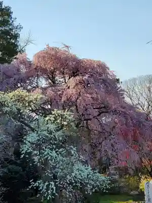 上合寺(福島県)