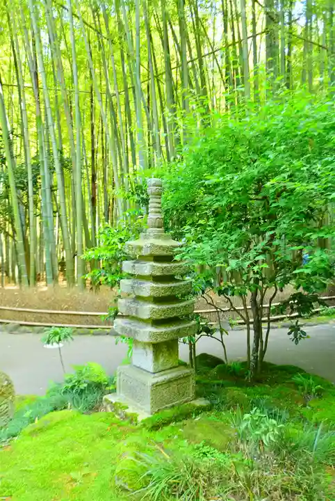 報国寺(神奈川県)