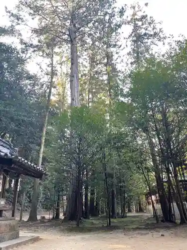 安仁神社の建物その他