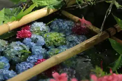 札幌護國神社の手水舎