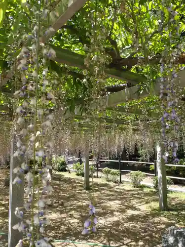 三大神社の自然