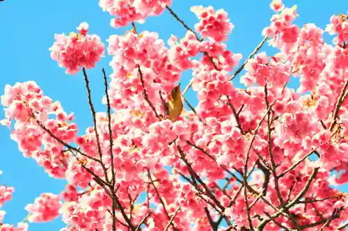 荏原神社(東京都)
