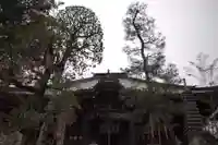 岩殿山安楽寺(吉見観音)の本殿・本堂