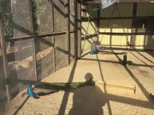 岩槻久伊豆神社の{uncategorized: "未分類", other: "その他", undefined: "問題あり", building: "その他建物", grave: "お墓", sacred_gate: "鳥居", guardian: "狛犬", statue: "像", buddha: "仏像", history: "歴史", nature: "自然", garden: "庭園", animal: "動物", pagoda: "塔", temizu: "手水舎", mountain_gate: "山門・神門", sanctuary: "本殿・本堂", subordinate: "末社・摂社", art: "芸術", scenery: "景色", jizo: "地蔵", ema: "絵馬", goshuin: "御朱印", omikuji: "おみくじ", items: "授与品その他", amulet: "お守り", goshuincho: "御朱印帳", eats: "食事", festival: "お祭り", votive_dance: "神楽", shichigosan: "七五三参", wedding: "結婚式", experience: "体験その他", initially: "初詣", around: "周辺", anti_infection: "感染症対策"}