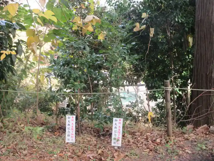 星川杉山神社のその他建物