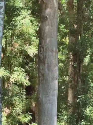 諏訪大社下社秋宮(長野県)