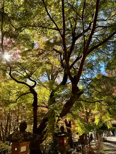 談山神社(奈良県)