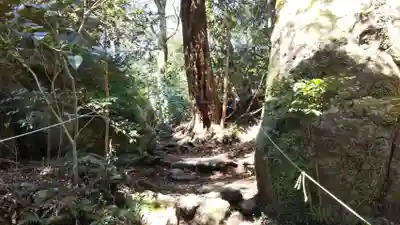 阿波々神社の自然