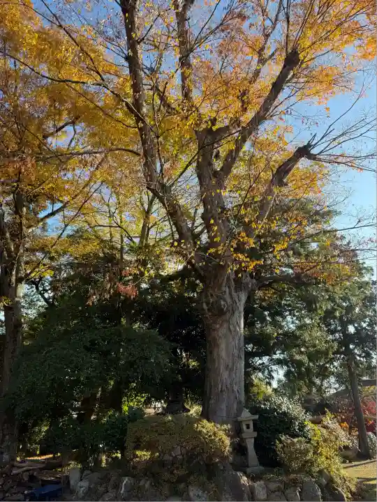 神戸神社(三重県)